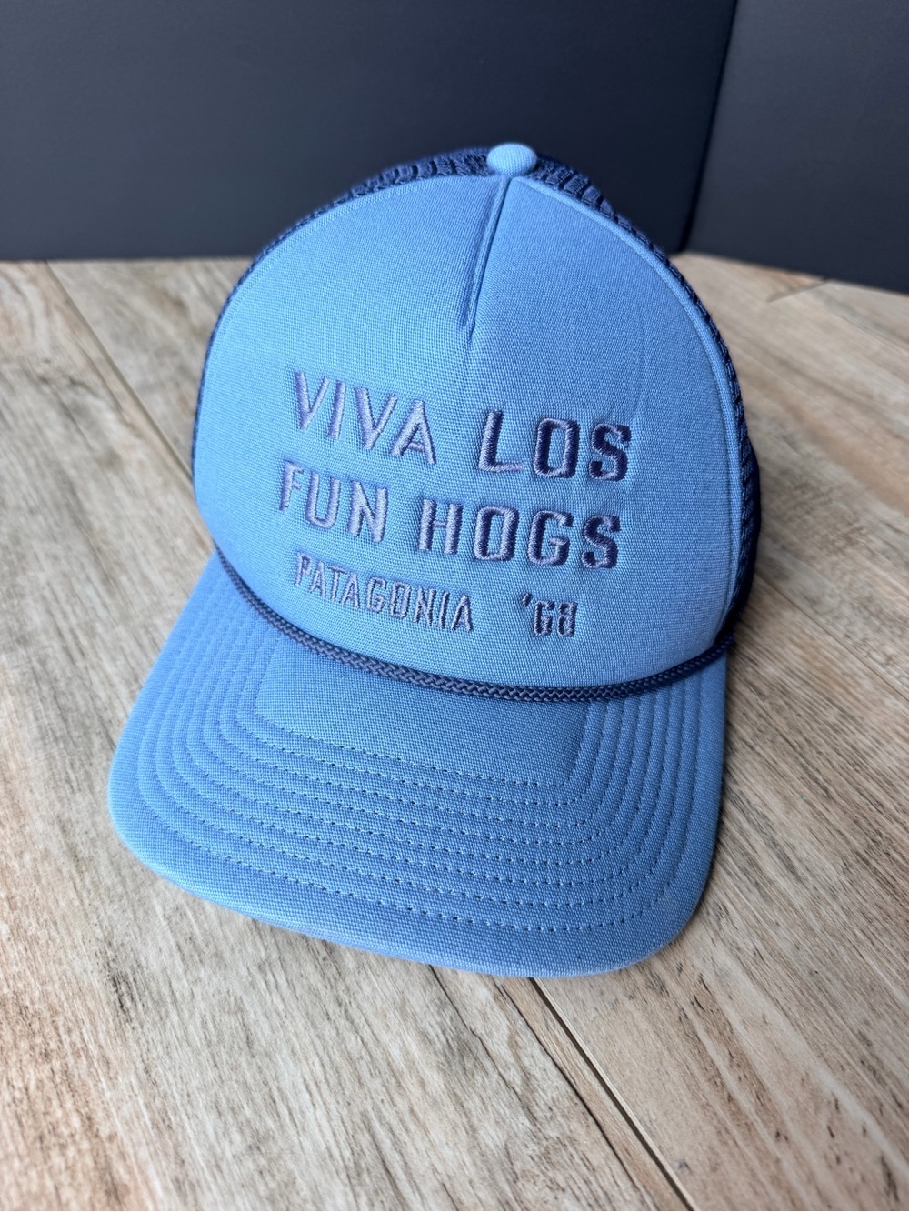 RARE Patagonia Master Chief Viva Los Fun Hogs Trucker Hat Blue Snapback Cap 68